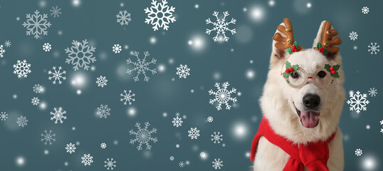 Cute white dog with Christmas deer antlers and glasses on blue background with falling snow. Banner...