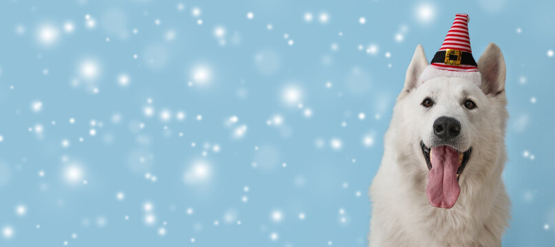 Cute white dog in Santa hat and falling snow on light blue background with space for text