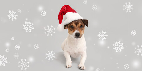 Cute funny dog in Santa hat on light background with snowflakes