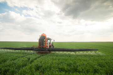 Tractor spraying wheat in field - obrazy, fototapety, plakaty