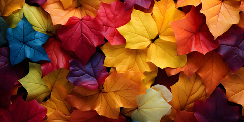 Background on fall colorimetry,