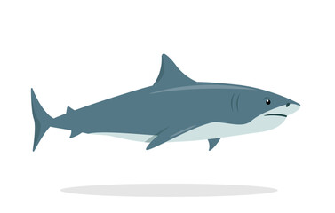 Shark animal icon. Underwater swimming shark, toothy fish mascot, sea fauna character. Ocean aquatic shark animal. Nature Vector flat or cartoon illustration isolated on white background.