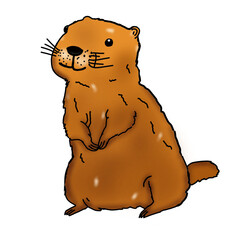 Groundhog day,woodchuck
