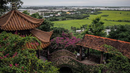 Fototapeta na wymiar The view of Tram Chim National Park in Southern Vietnam