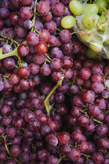 Top view of a bunches of grapes at a fruit store in Chile