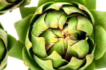 Fototapeta premium fresh artichoke on white background 5