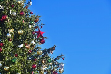 christmas tree on sky background