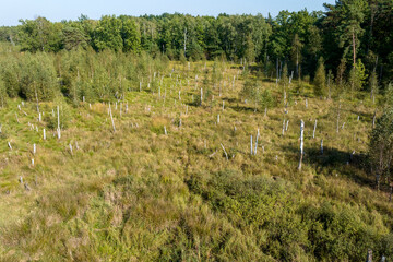 Fototapeta premium Aerial top drone view of swamp area