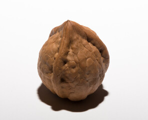 Walnuts are rounded, single-seeded stone fruits of the walnut tree. Tricuspid walnut.
