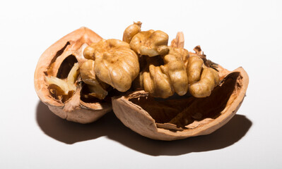 Walnuts are rounded, single-seeded stone fruits of the walnut tree. Cracking a nut.