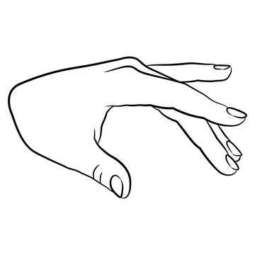 Human female hand with open fingers in elegant gesture. Black and white linear silhouette. Cartoon style.