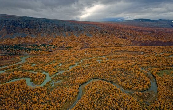 Drone shot, view of the valley Ladtjovagge with the meandering river Ladtjojakka, birch forests, autumn, intense colouring, Nikkaluokta, Kiruna, Gaellivare, Norrbottens laen, Lapland, Northern