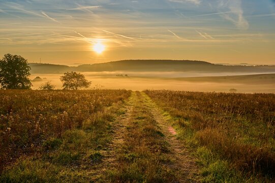Landscape, country lane, fields, fog, sunrise, Hoehefeld, Wertheim, Baden-Wuerttemberg, Germany, Europe