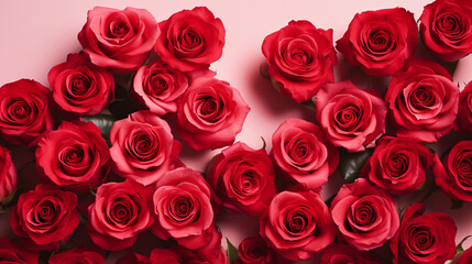 Red Valentine's Day Roses in Vibrant Deep Red Color - Overhead Flat Lay View of Floral Petals and Leaves - Romantic Holiday Color Tones