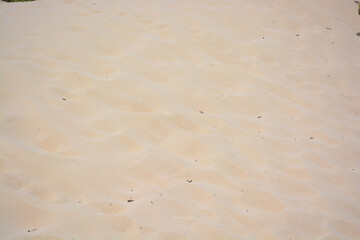 Pristine and clean sand of Sasarawichi dunes at Hudishibana, Aruba. 
