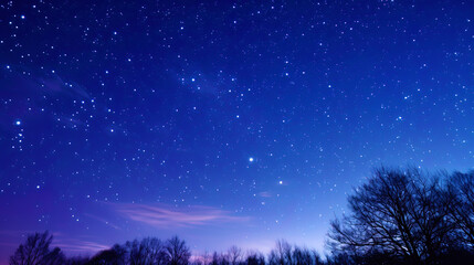 Starry sky above the head in the evening on Valentine's Day
