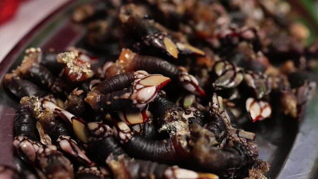 tray with a large amount of fresh barnacles in a restaurant. Seafood and delicatessen food