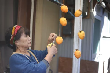 Foto auf Leinwand 柿を干す女性 © yamasan