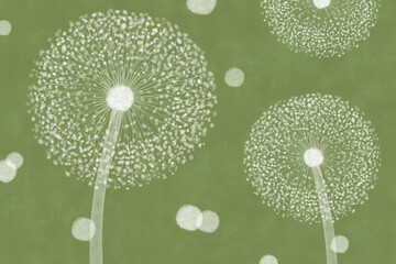 dandelion seeds illustration