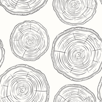 Vector Seamless Pattern with Tree Rings, Saw Cut Tree Trunk, Wood Log, Cross. Pine, Oak Slices, Lumber. Cut Timber, Wooden Texture with Tree Rings. Hand Drawn Design Element