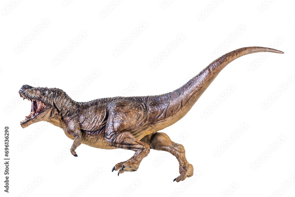 Wall mural Trex Tyrannosaurus dinosaur on isolated background