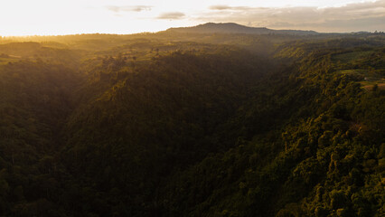 High angle view Aerial photograph of forest in  Twilight time