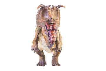 Pachyrhinosaurus dinosaur on isolated background