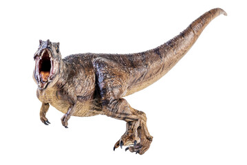Trex Tyrannosaurus dinosaur on isolated background