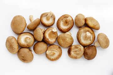 Fresh shiitake mushrooms on white background.