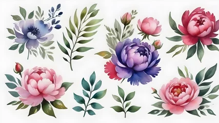  set of floral branch ,flower pink rose, purple flower, green leaves, wedding concept with flowers , invite arrangement for greeting card ,illustration of watercolour colour  © monu