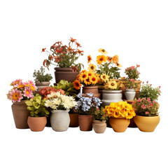 Fototapeta na wymiar Flowers in clay pots isolated on transparent background
