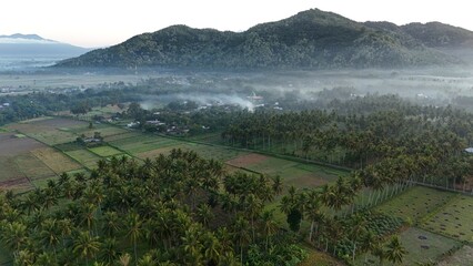 Morning atmosphere in Tempos hamlet, Gerung, West Lombok. a cold, wet mist blanketed the countryside