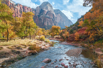 North Fork Virgin River and surrounding mountains in Zion National Park