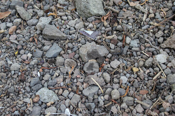 texture of pebbles of various sizes	