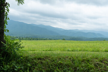 Distant mountains and a grassy field for grazing animals on a cloudy overcast day