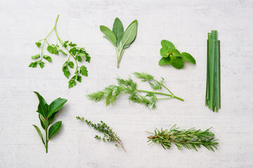ハーブ　herb フレッシュハーブ　freshherbs