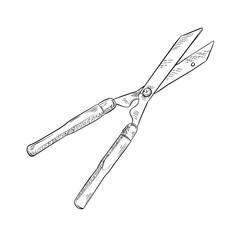 garden shears handdrawn illustration