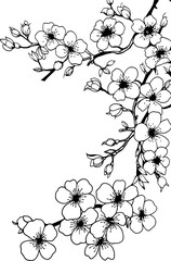 Cherry blossom corner border © safri