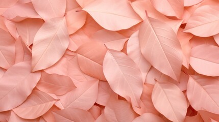 Pastel peach color autumn leaves on the ground, beige abstract background