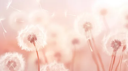 Fotobehang Pastel peach color dandelion seeds in the wind, beige abstract background © keystoker