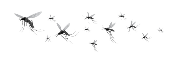 swarms of flying mosquitoes illustration © hafid