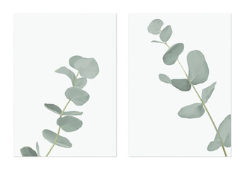 Foliage poster template design, Eucalyptus cinerea on grey - 696167485