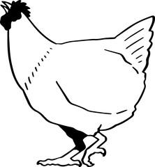 cute cartoon chicken drawing.