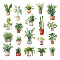 Fototapeta premium 様々な種類の鉢植えの観賞植物の水彩イラストセット