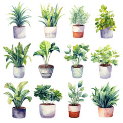 様々な種類の鉢植えの観賞植物の水彩イラストセット