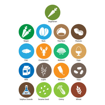 vegetable icon set vector image