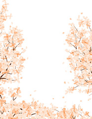 Sakura Frame Cherry Blossom. Spring Flower of Japan Background. Beautiful Floral Border.