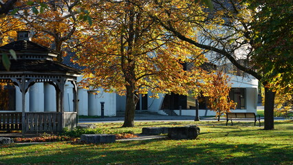 The colorful and beautiful leaves on the trees in autumn