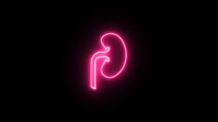 Urinary system part symbol. neon kidney icon. glowing kidney icon. kidney line icon. Elements of Medicine in neon style icons.