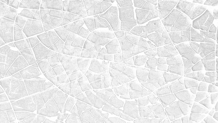 white paper texture